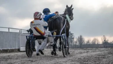 pronostic hervé fortin